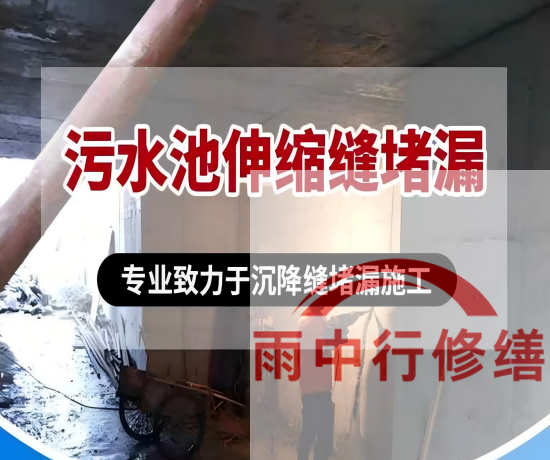 沧州某污水处理厂钢筋混凝土池堵漏案例