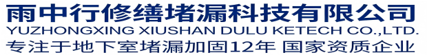 沧州雨中行科技防水堵漏工程有限公司